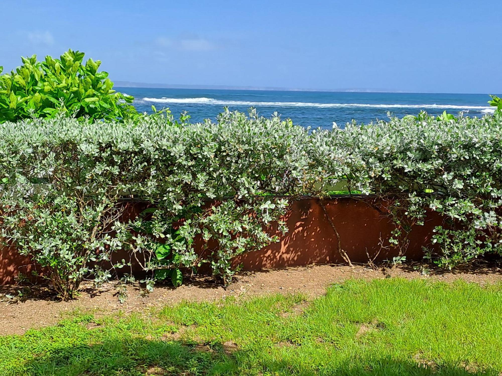לה מול Rdc Appartement En Bord De Mer Au Son Des Vagues מראה חיצוני תמונה